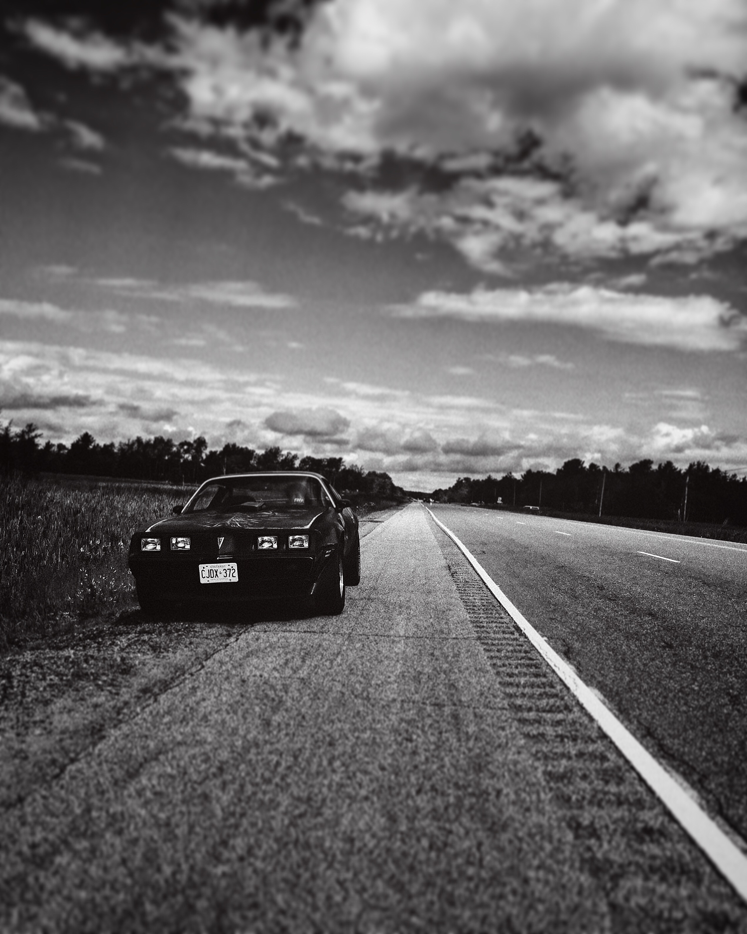 Maeve Rowan Photography - Trans Am Roadside.png